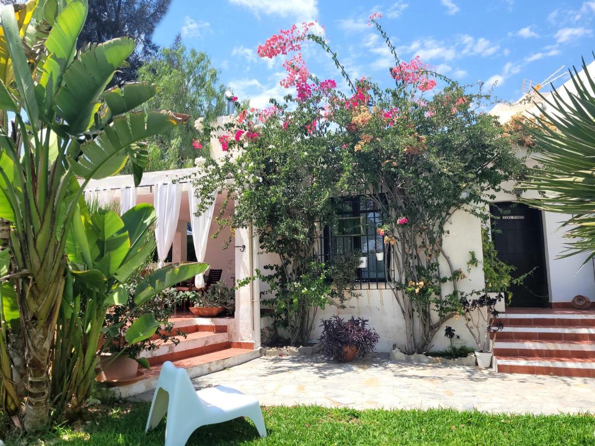 Casa Pizzi Villa อากัวอามาร์กา ภายนอก รูปภาพ